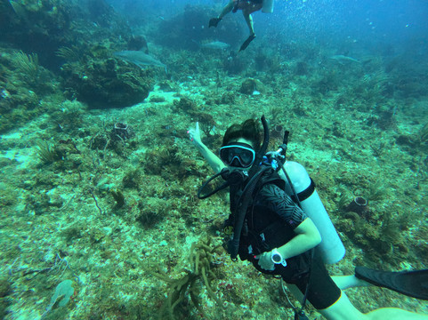 Low Key Watersports-克鲁兹湾必去景点