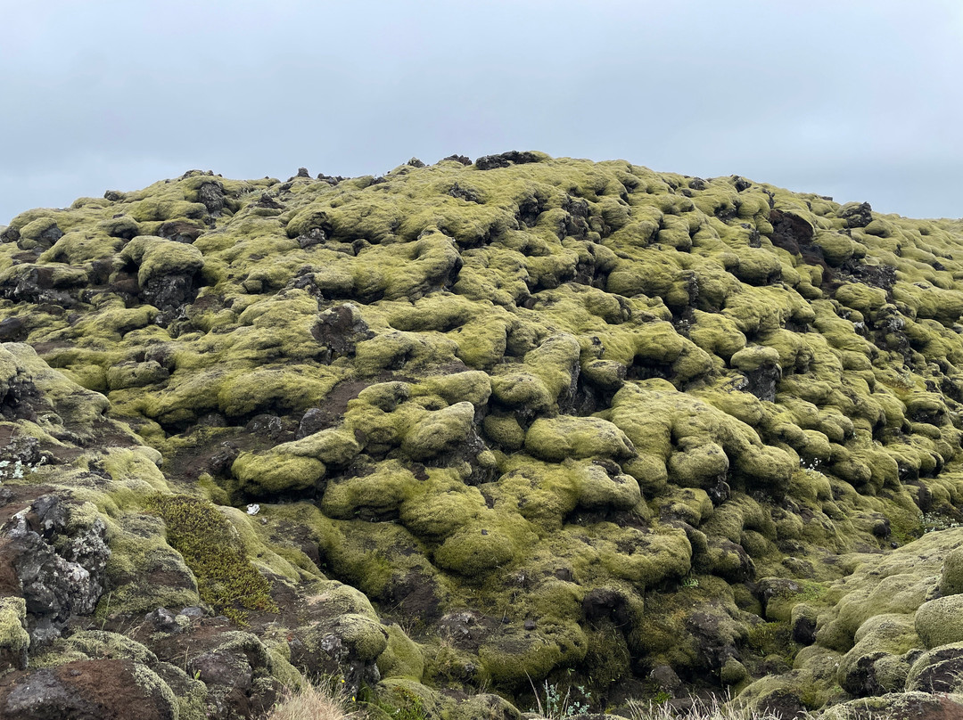 Eldhraun Lava Field-科克拜亚克劳斯特必去景点
