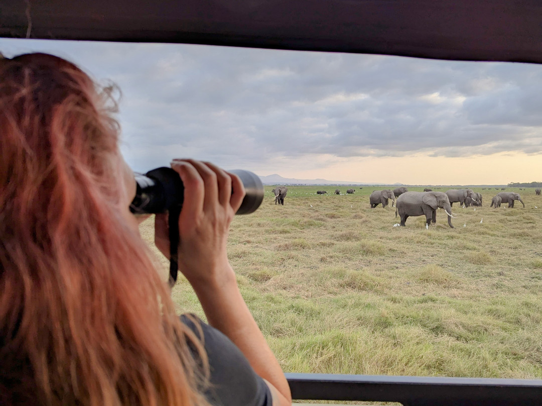 Africa Vision Safaris Tours and Travel-内罗毕必去景点