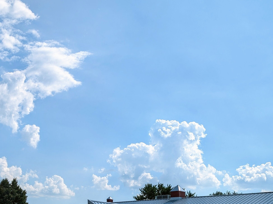 Riggs Beer Company-厄巴纳必去景点