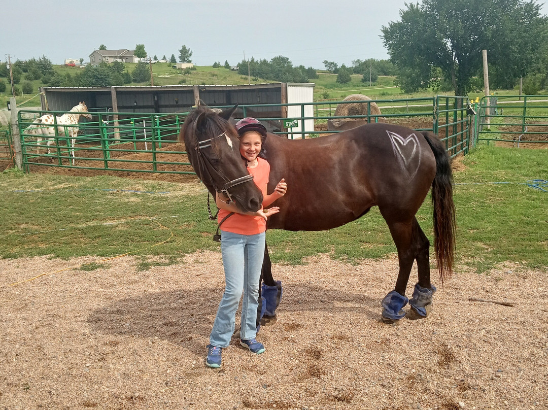 Christine's Horseback Riding-卡尼必去景点