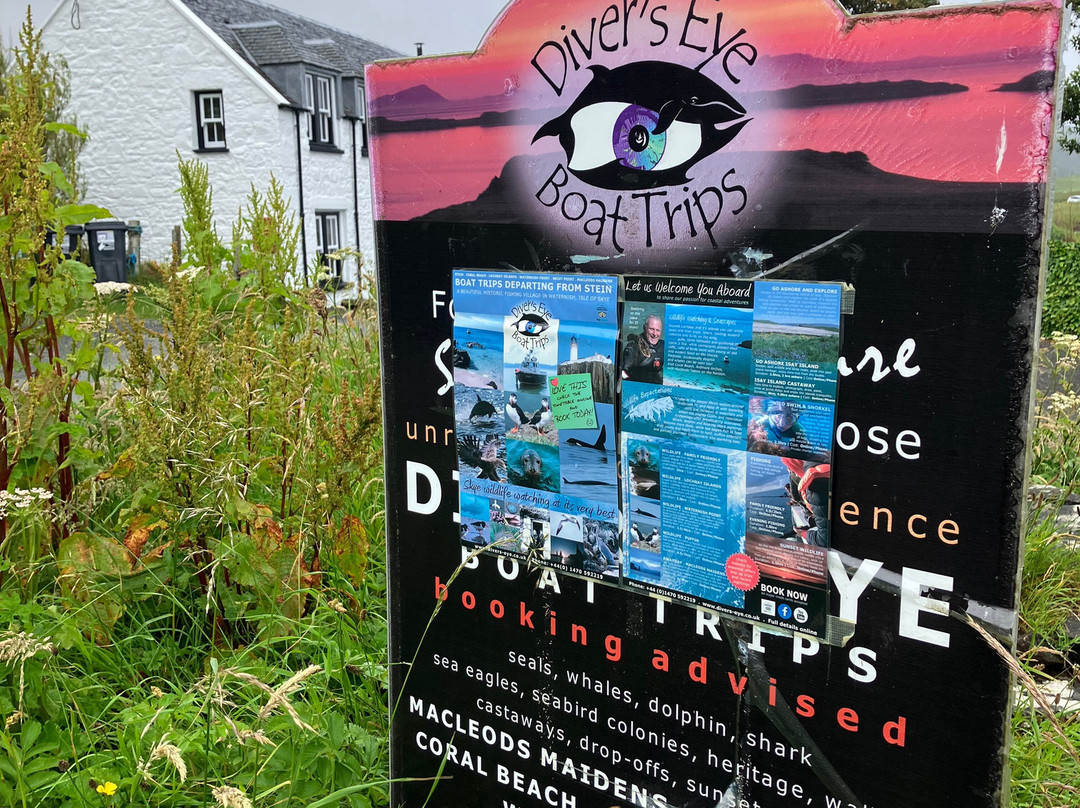 Diver's Eye Boat Trips-Stein必去景点