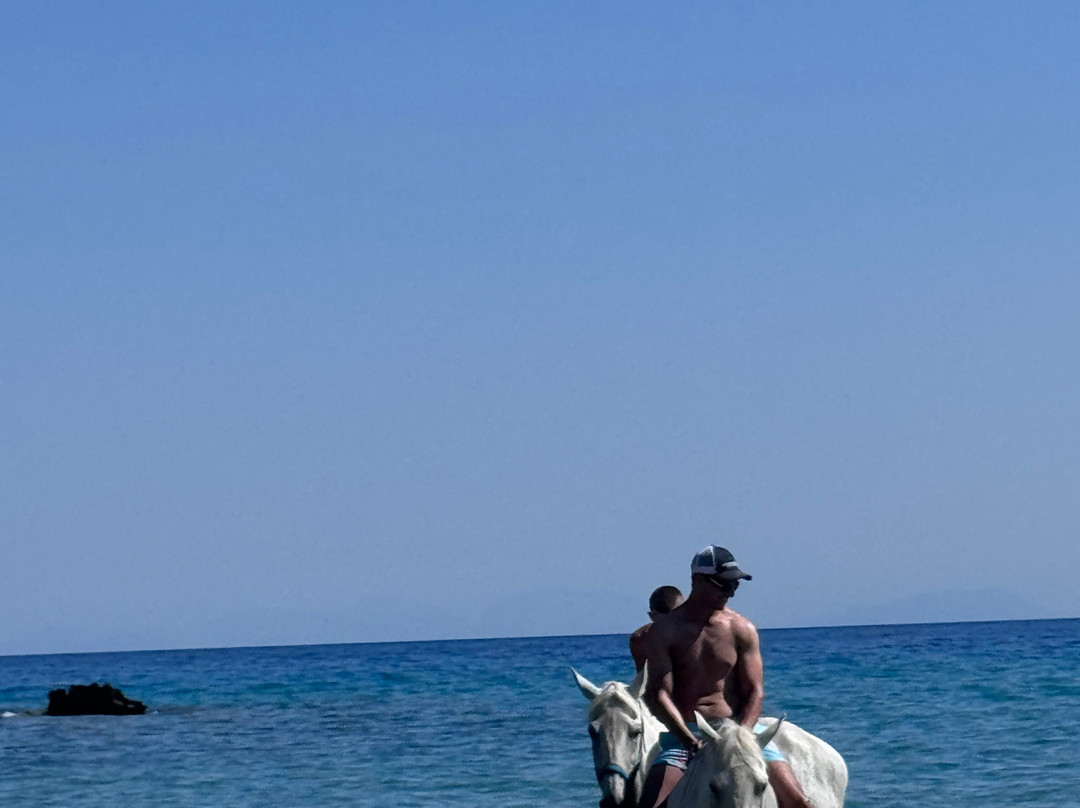 Parashis Zakynthian Horse Stud - Yannis horses-Alykanas必去景点