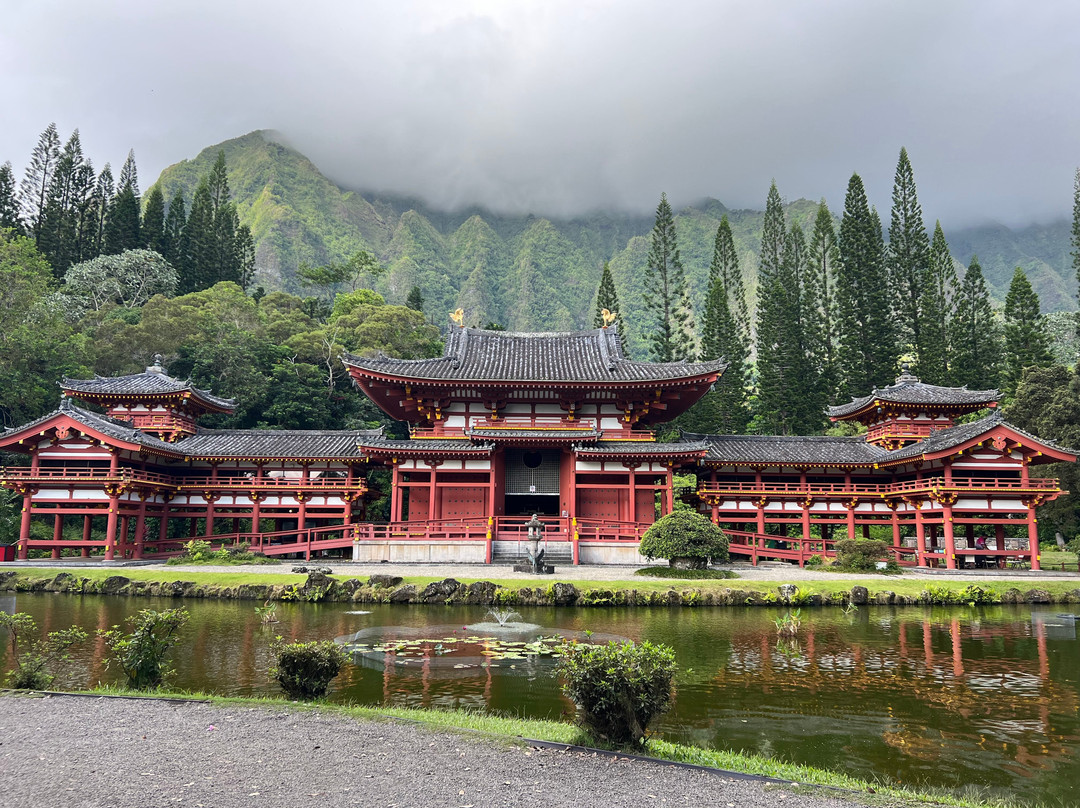 Aina Tours llc-火奴鲁鲁必去景点