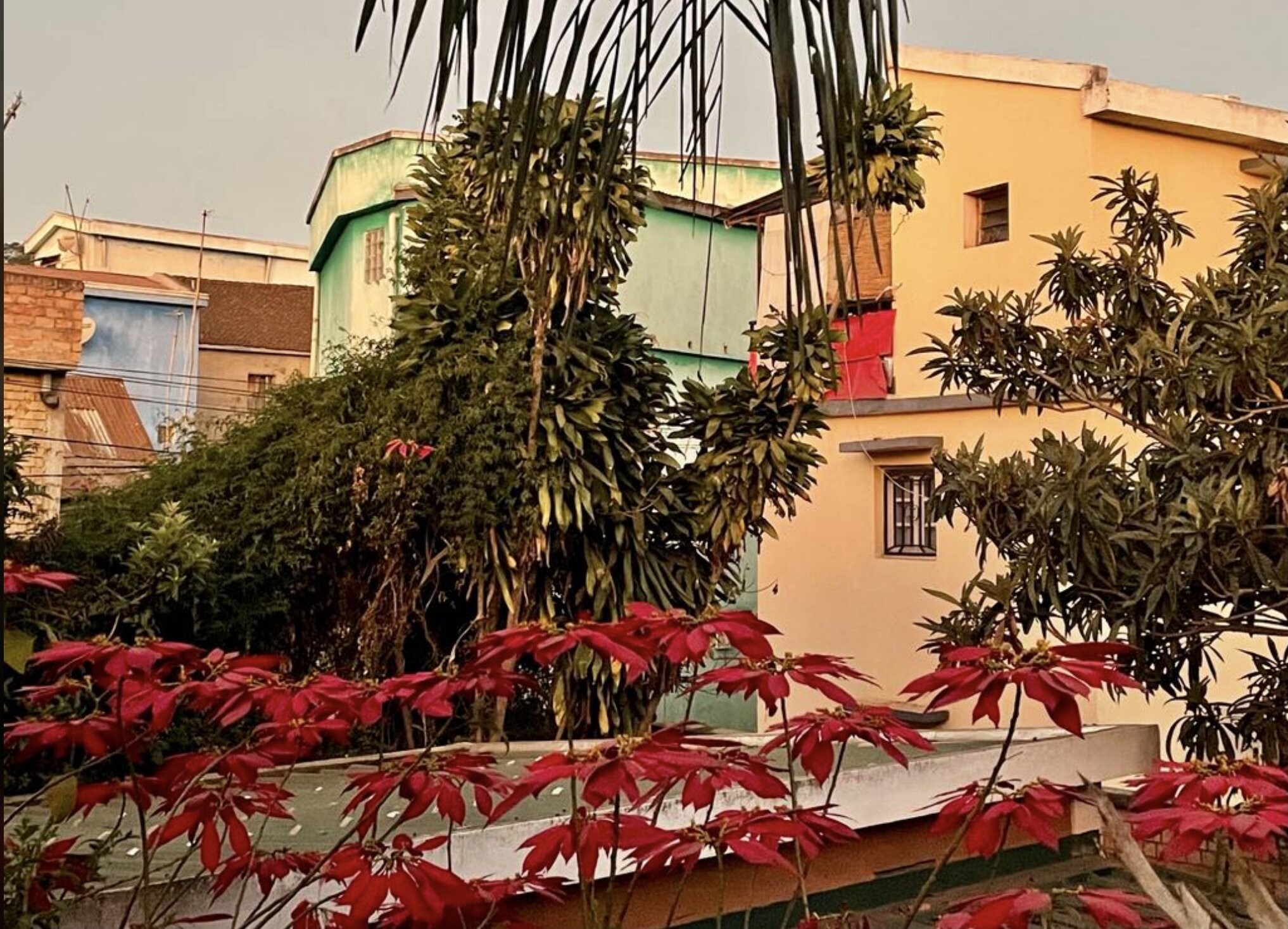 Meva Guest House-官方