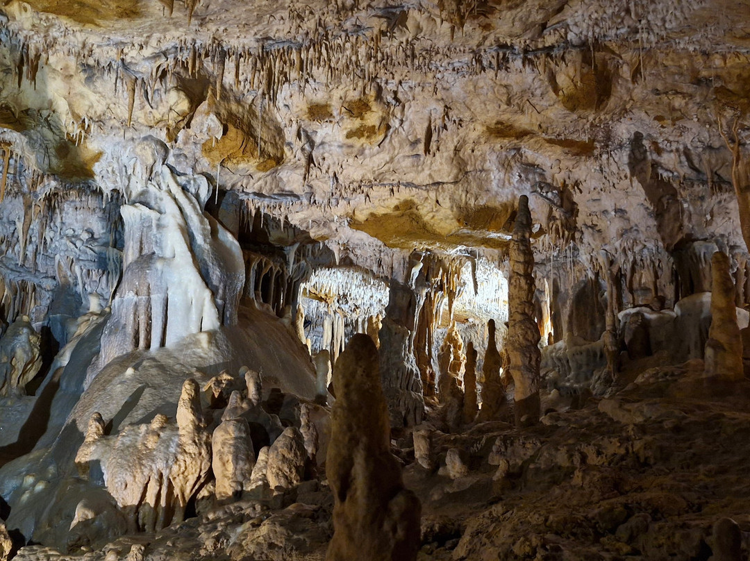 Grotte de Foissac-Foissac必去景点