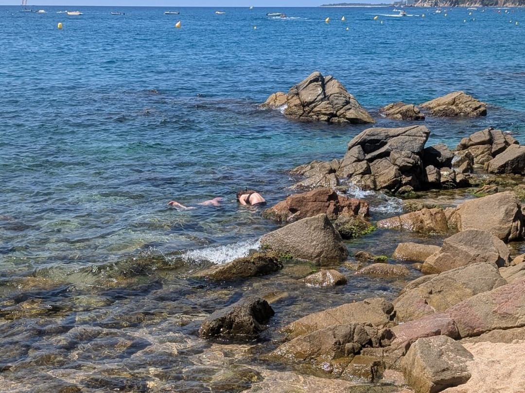 Playa de Fenals-犹兰特德玛必去景点