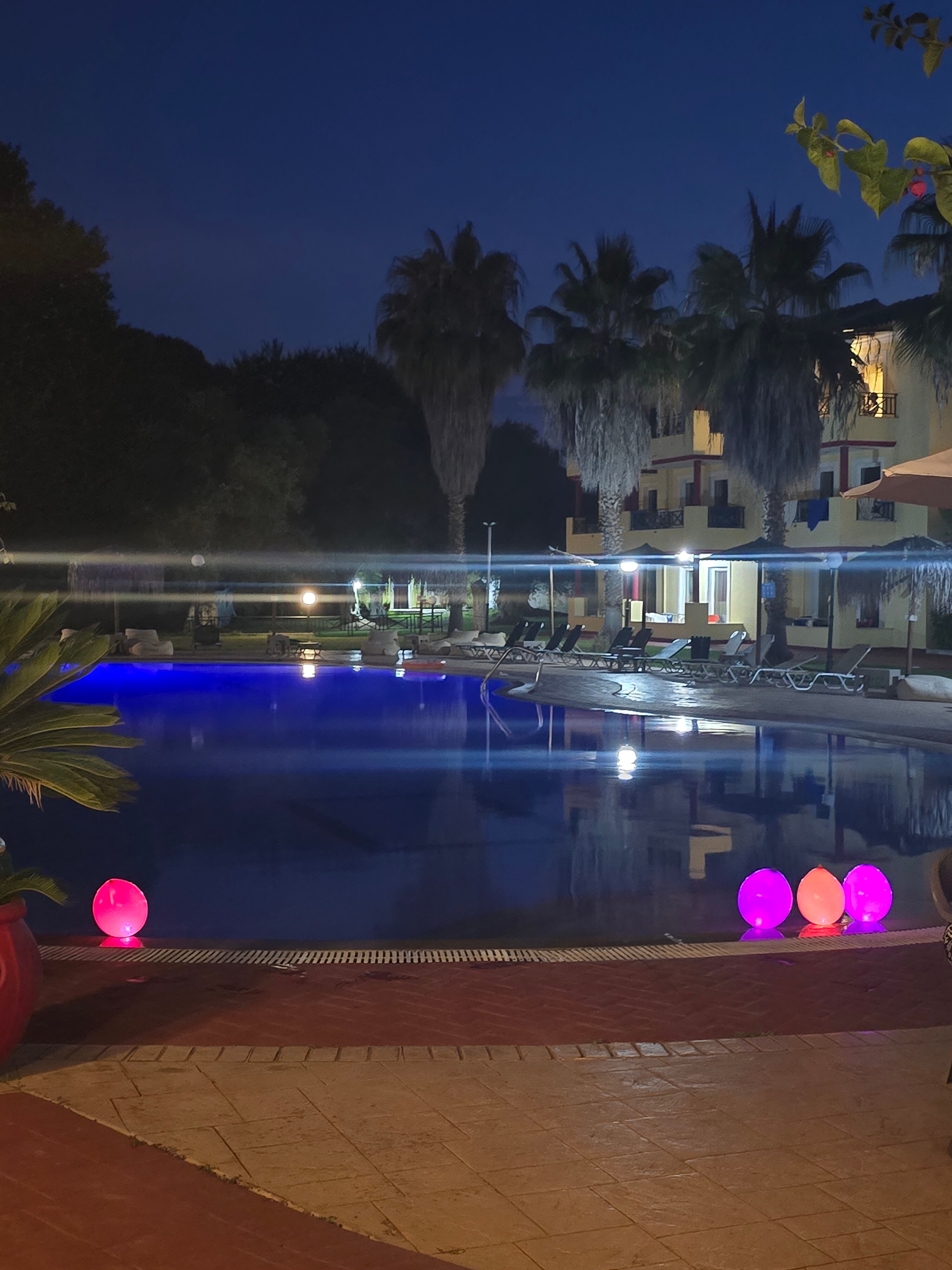 Damia Hotel-官方