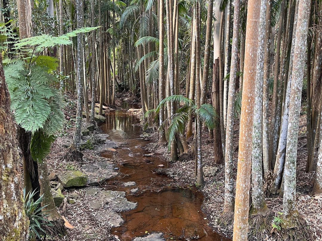 佩特斯雨林度假村主图