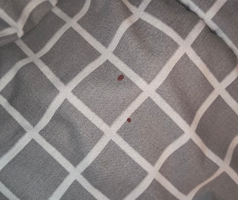 Hotel 10 Itajai主图