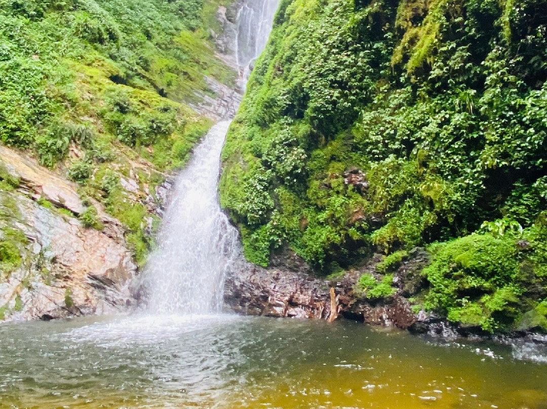 Nyungwe National Park - Rwanda-Western Province必去景点