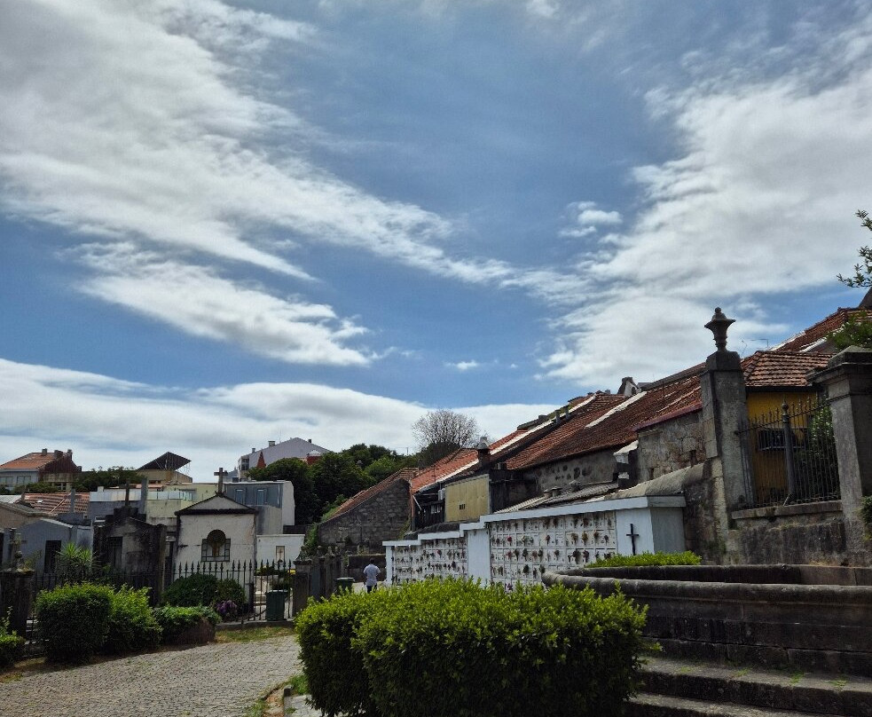 Cemitério do Prado do Repouso-波尔图必去景点