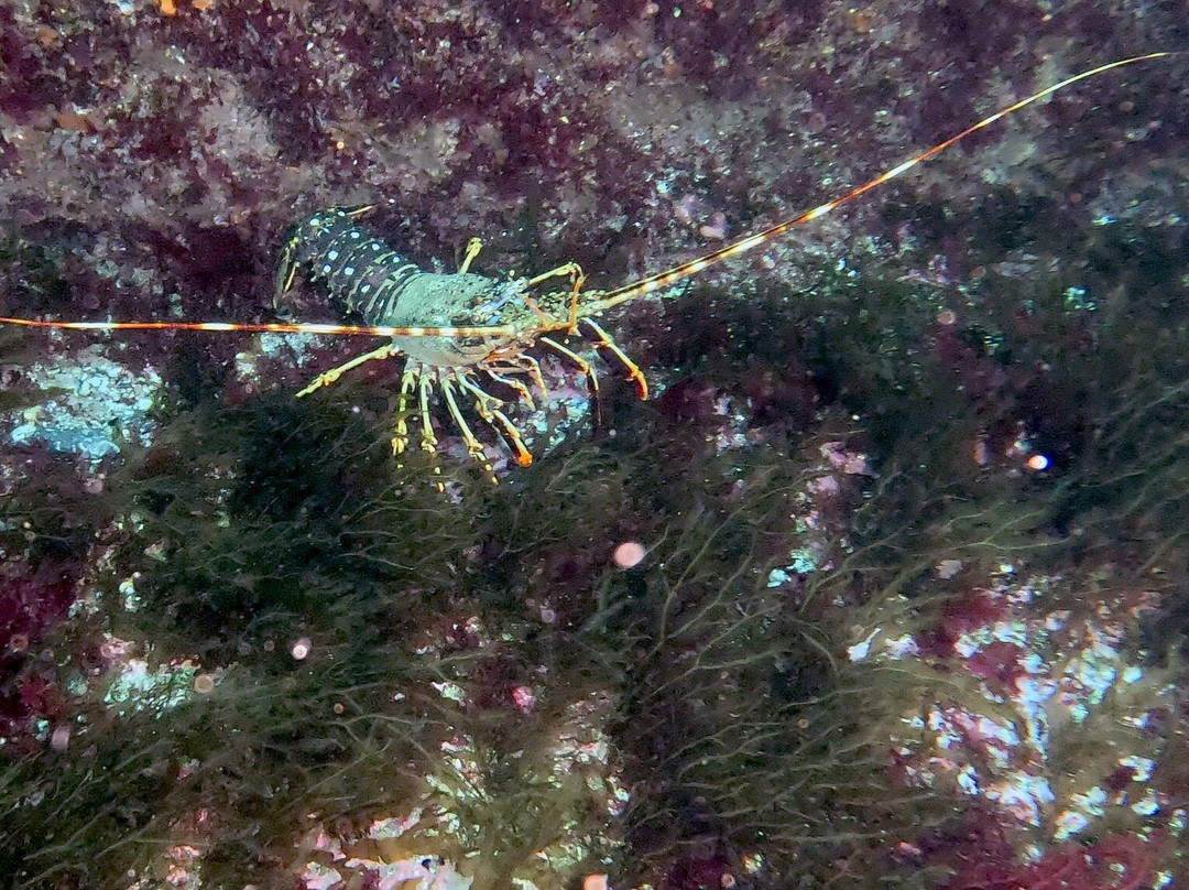Dive Academy-Inishmore必去景点