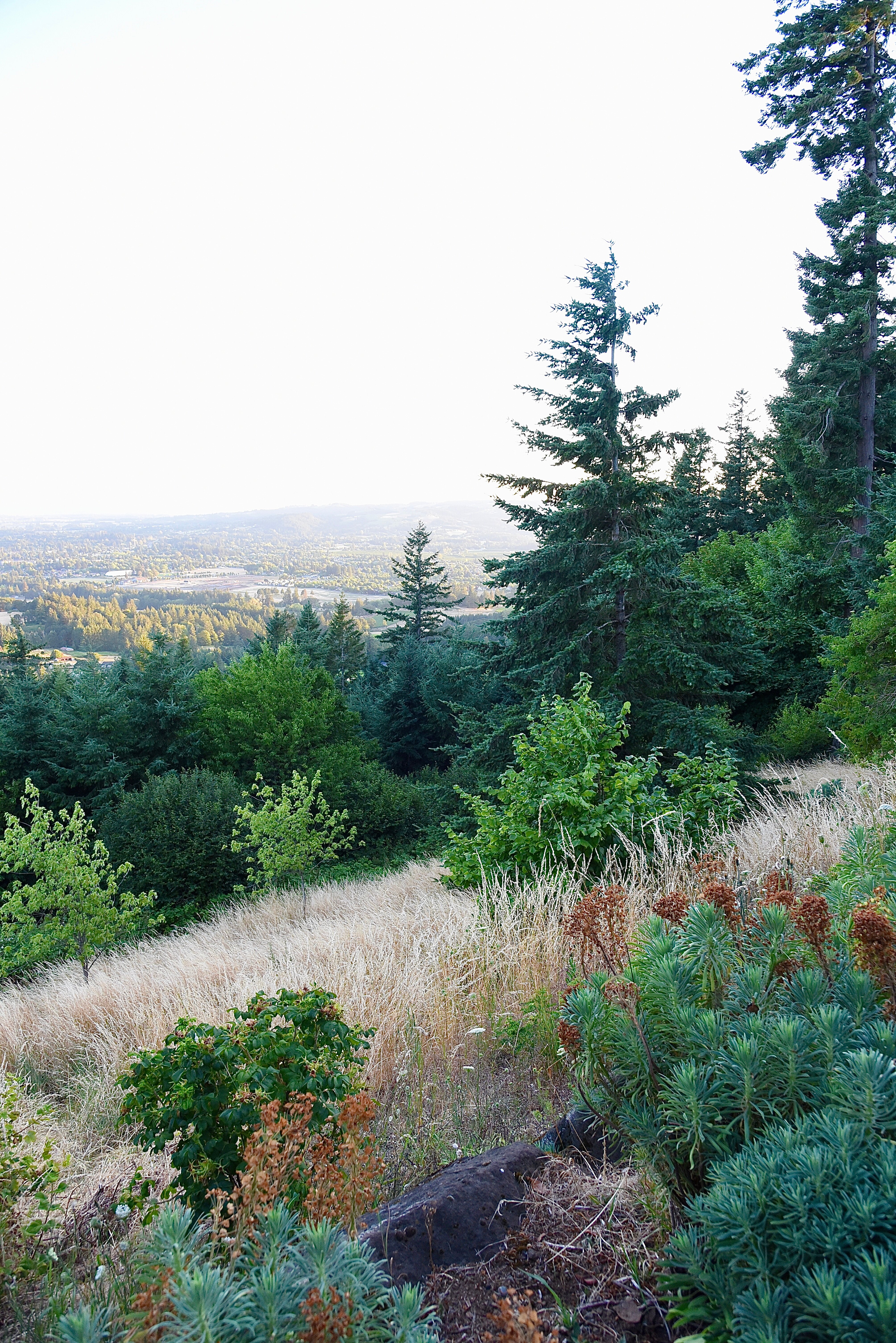 Chehalem Ridge Bed and Breakfast-酒店景观