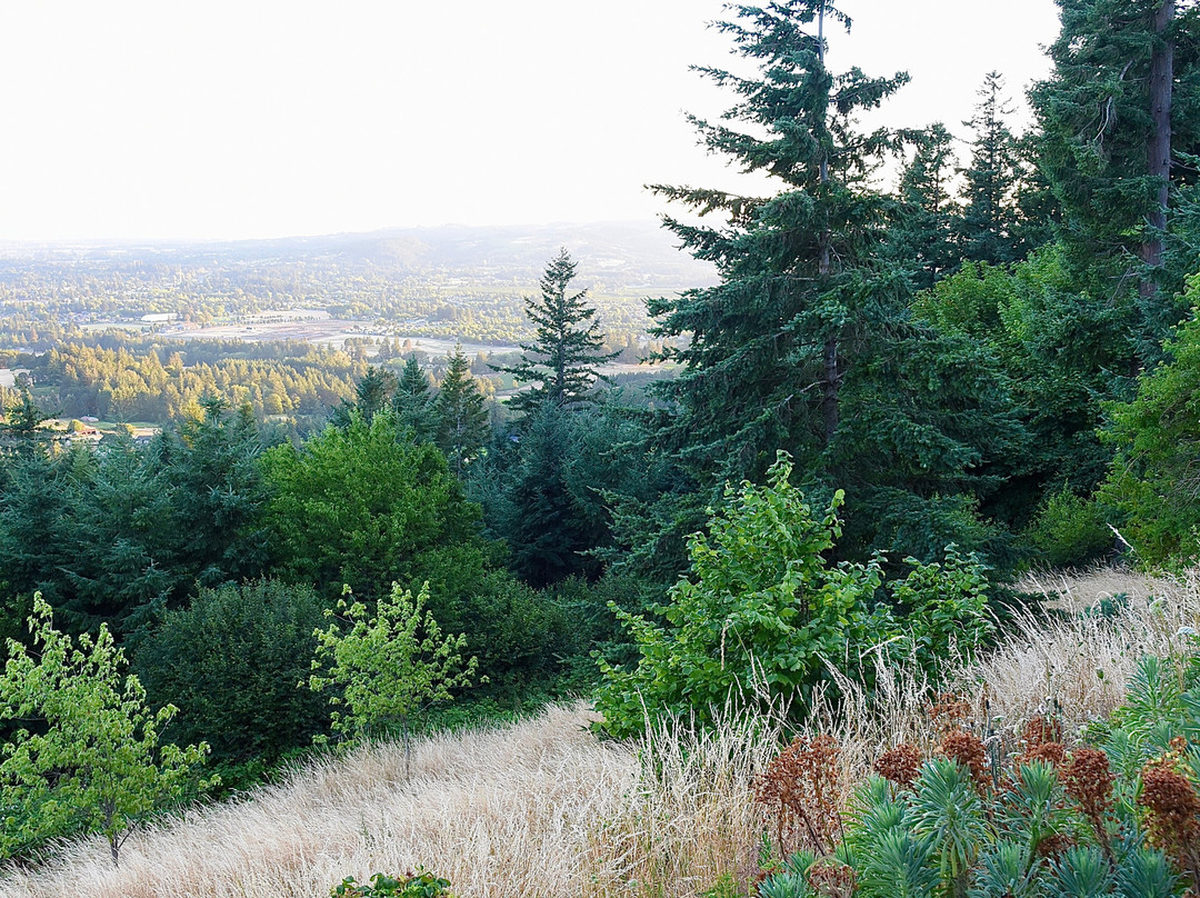 Chehalem Ridge Bed and Breakfast主图