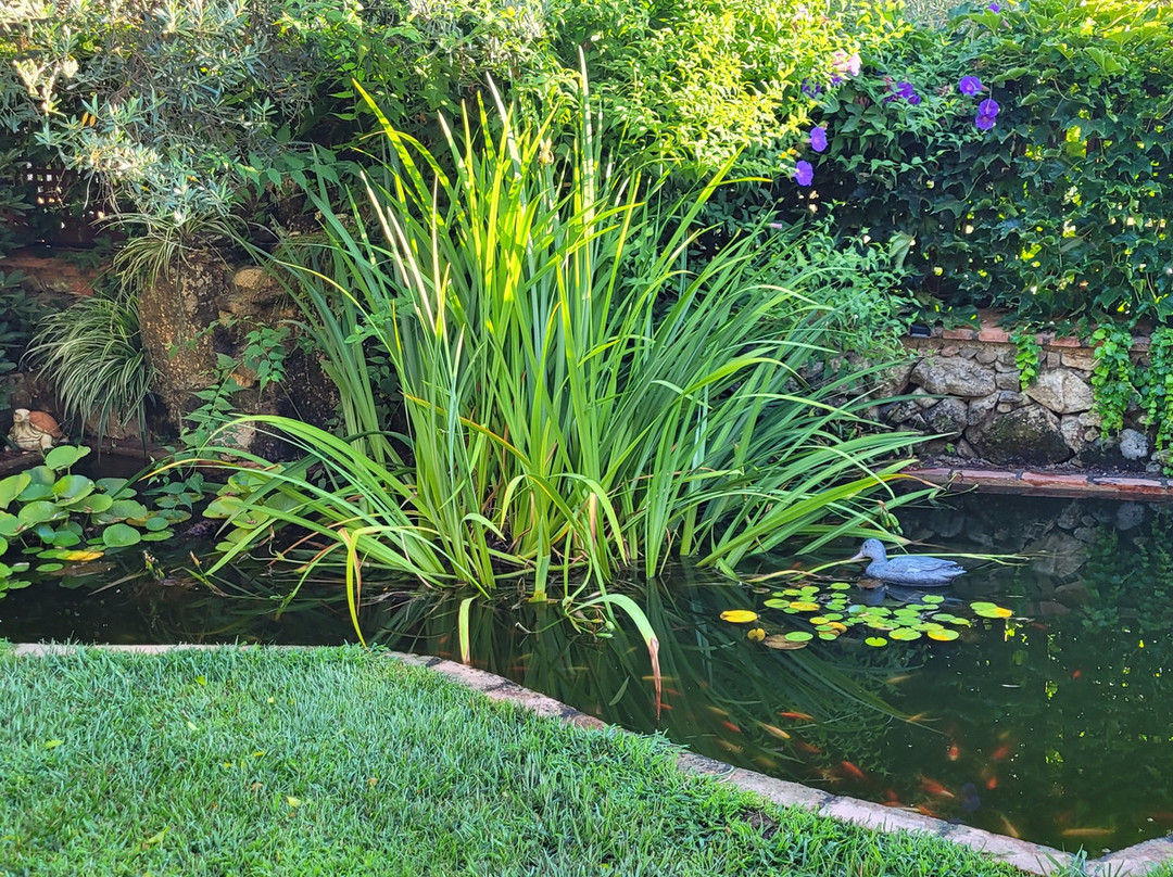 Casa Rural La Covacha主图