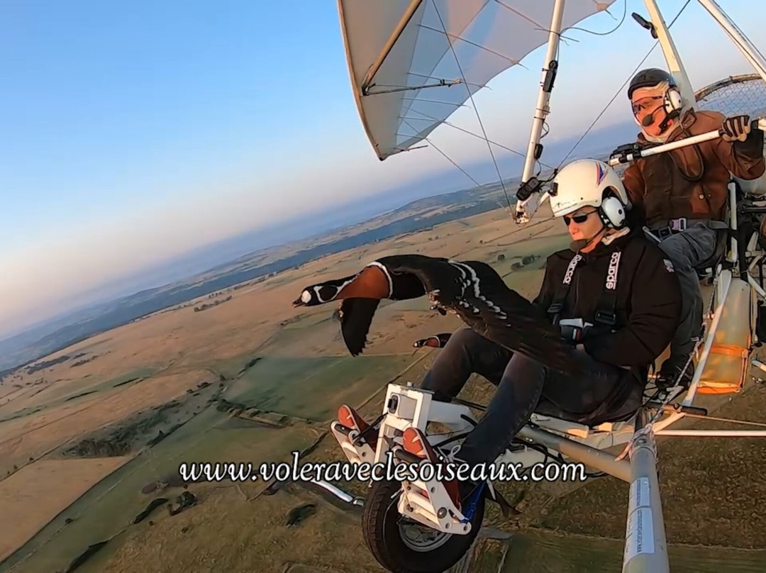 Voler Avec les Oiseaux-奥里亚克必去景点