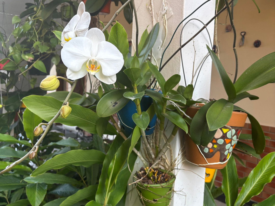 Pousada Viva Mar主图