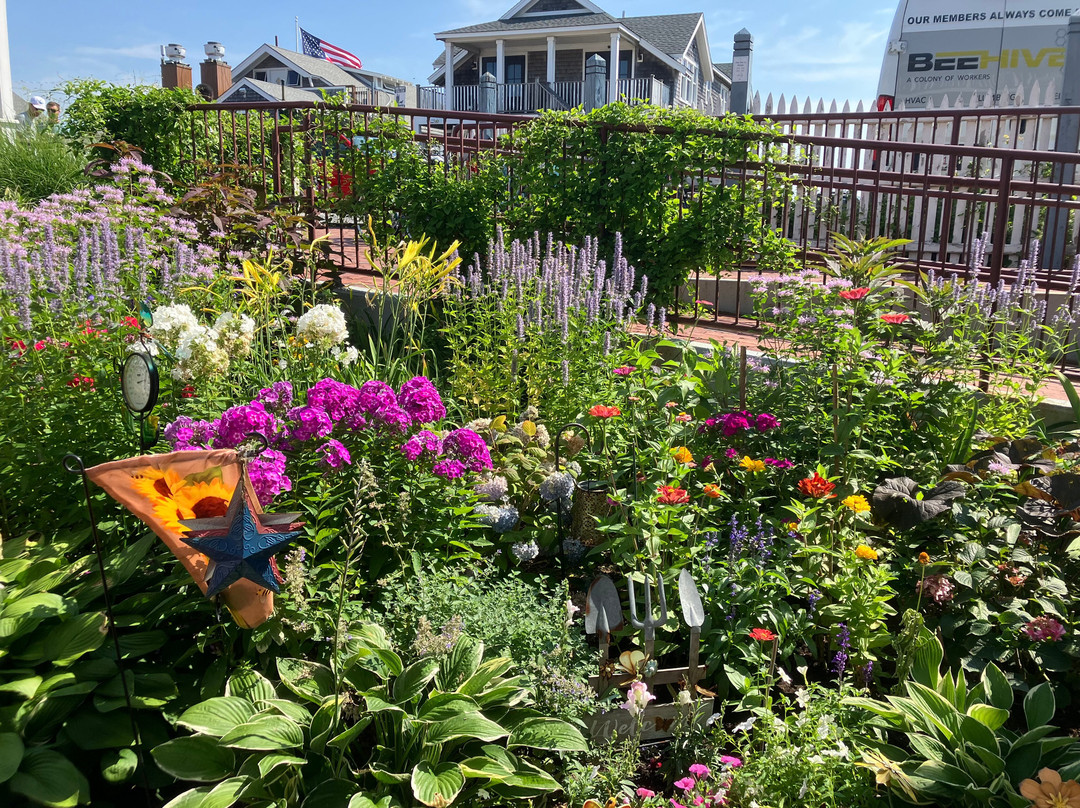 Martha's Vineyard Surfside Hotel主图