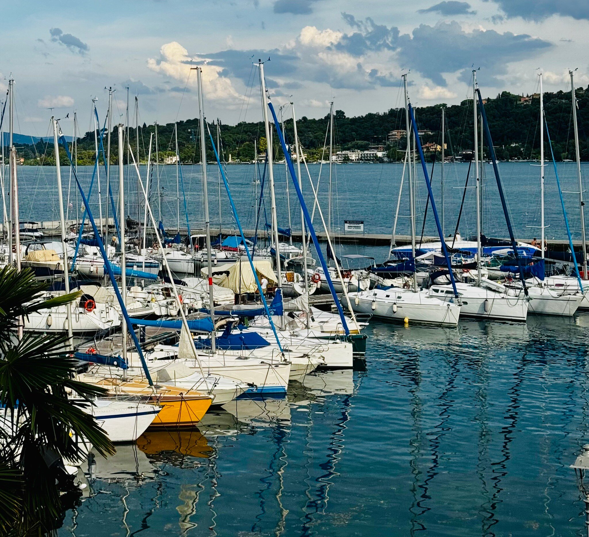 贝勒里夫酒店-官方