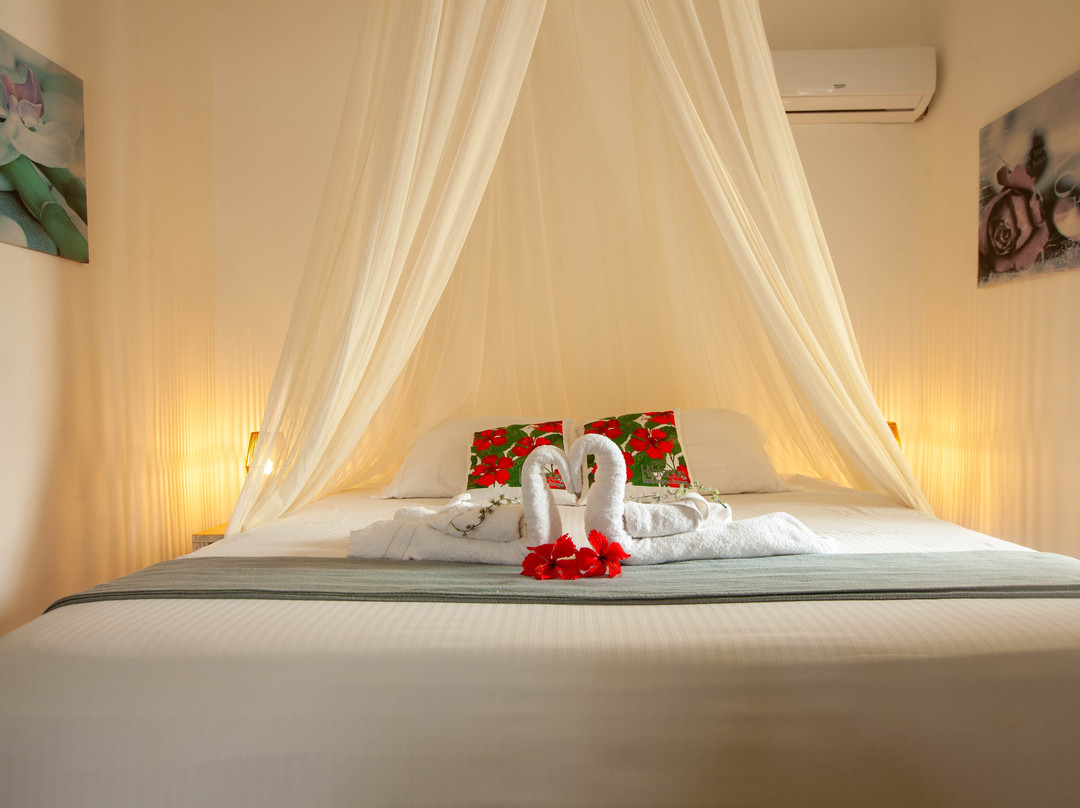 Hibiscus Beach House bed & breakfast主图