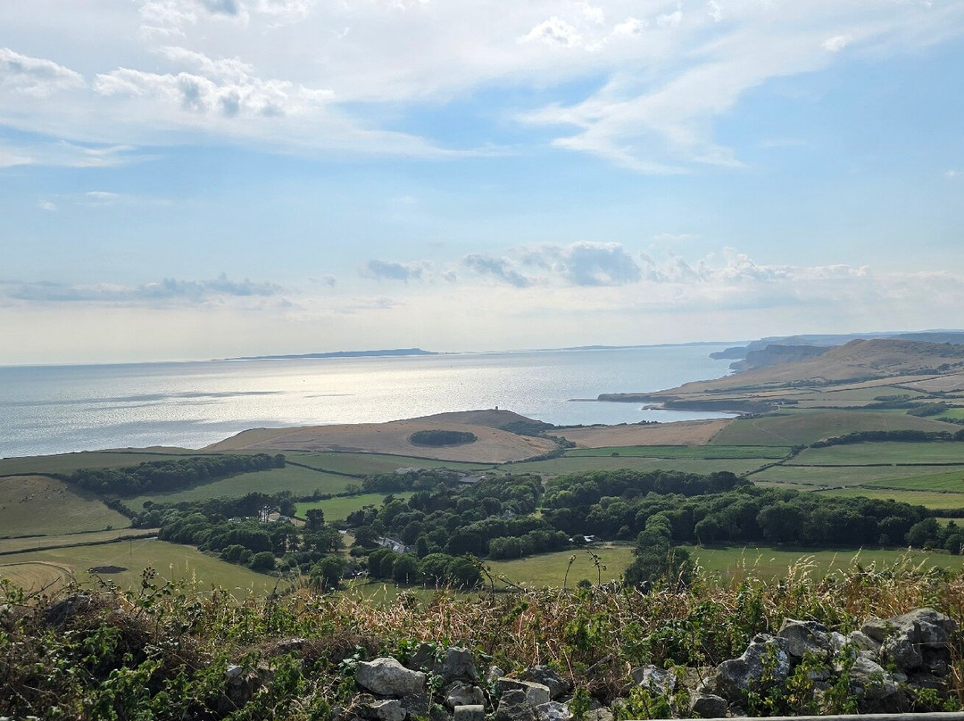 Purbeck Safari-韦勒姆必去景点