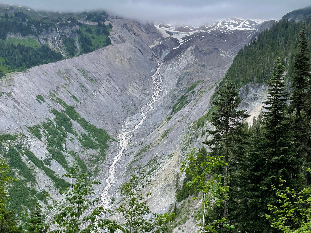 Nisqually Vista Loop-雷尼尔山国家公园必去景点