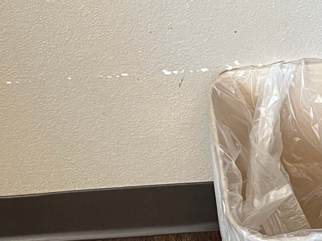 Super 8 by Wyndham Danville主图