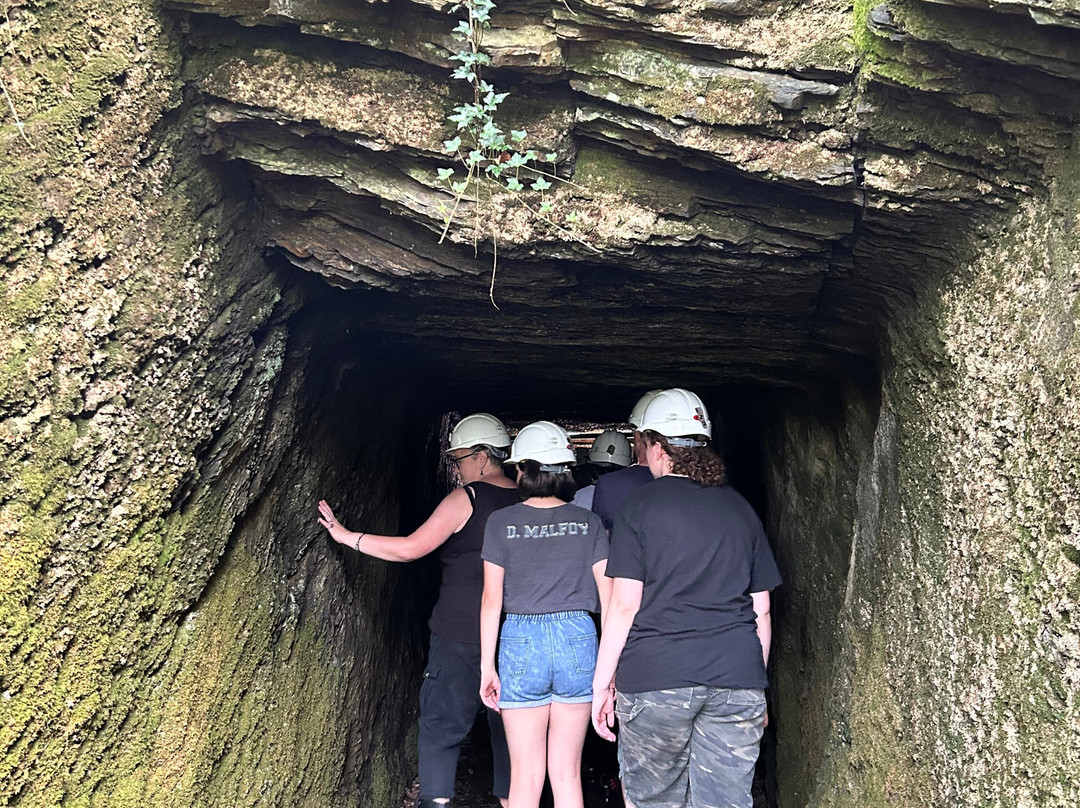 Dolaucothi Gold Mines-Llanwrda必去景点