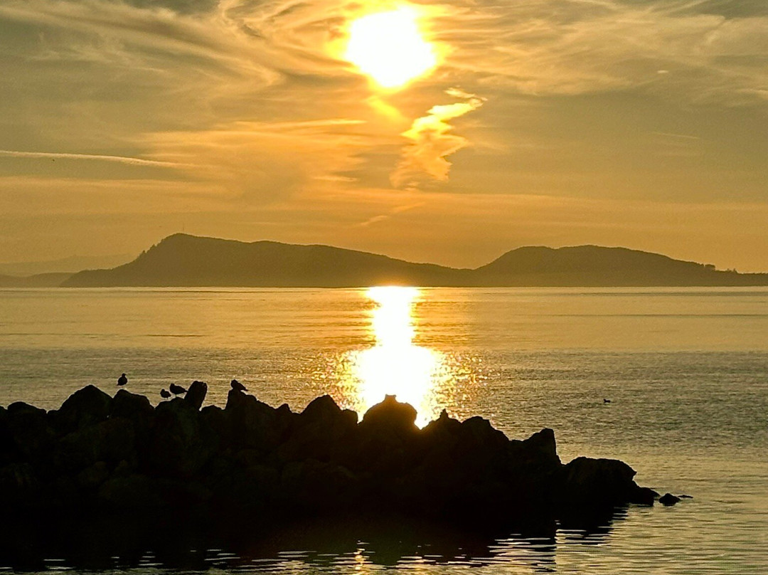 Kangaroo House Bed & Breakfast on Orcas Island主图