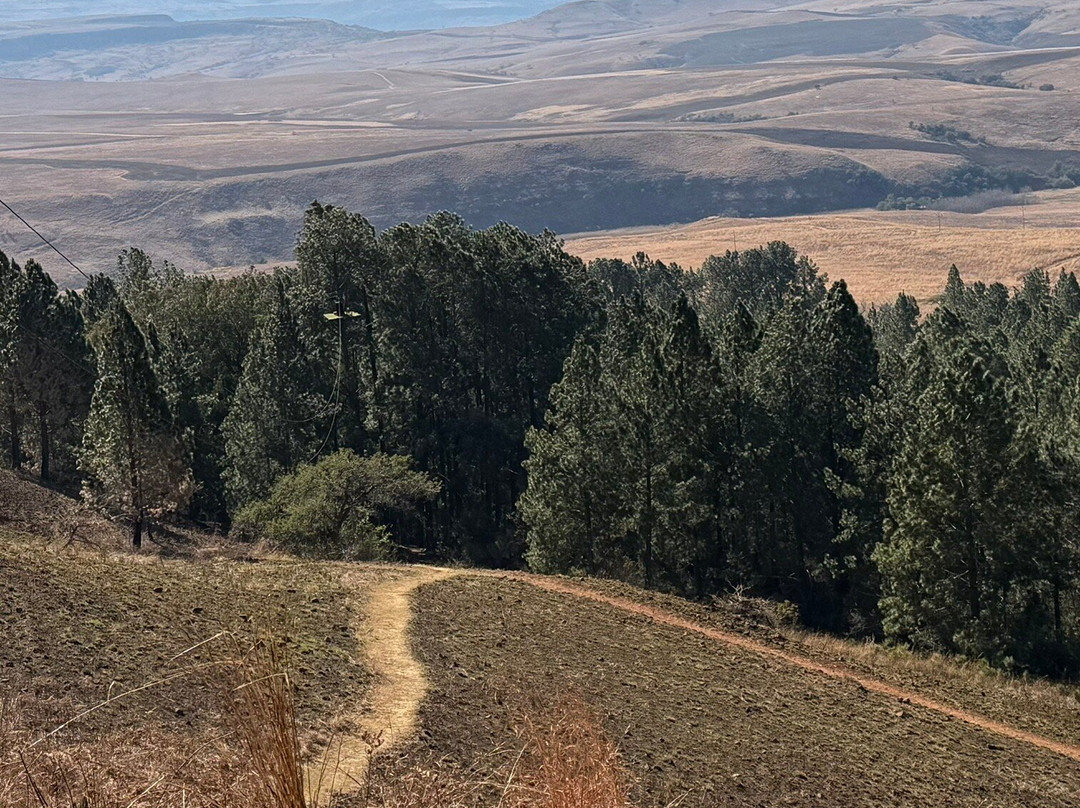 All Out Adventures-柏维必去景点