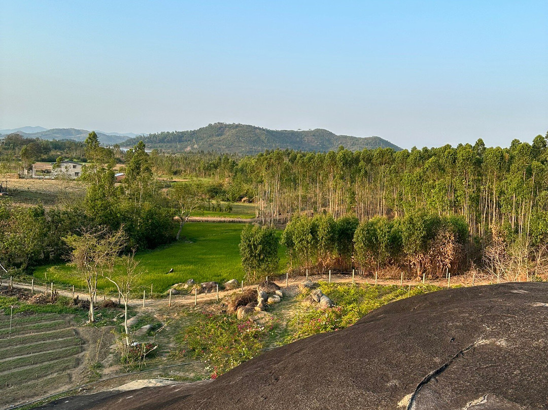 Núi Đá Voi Mẹ-Krong Bong必去景点