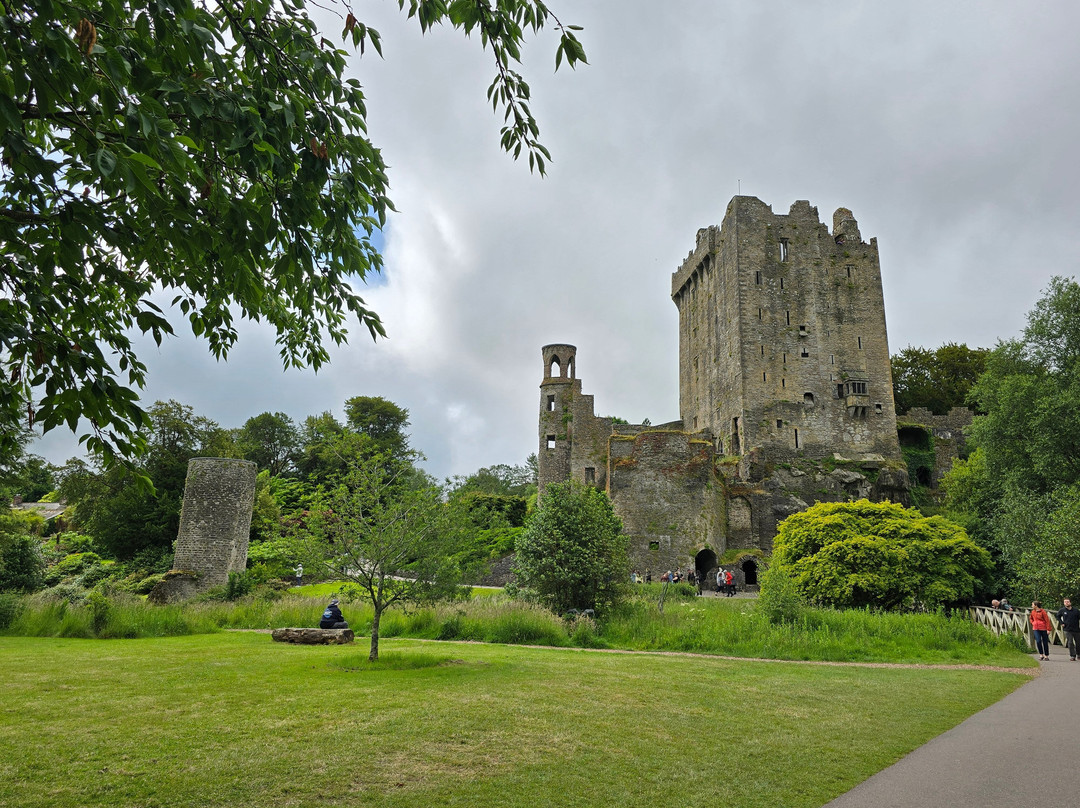 Condor Executive-贝尔法斯特必去景点