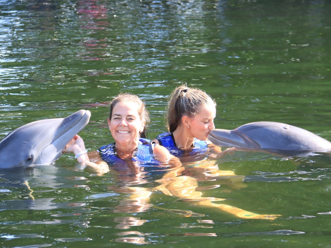 海豚商店-基拉戈-拉哥岛必去景点