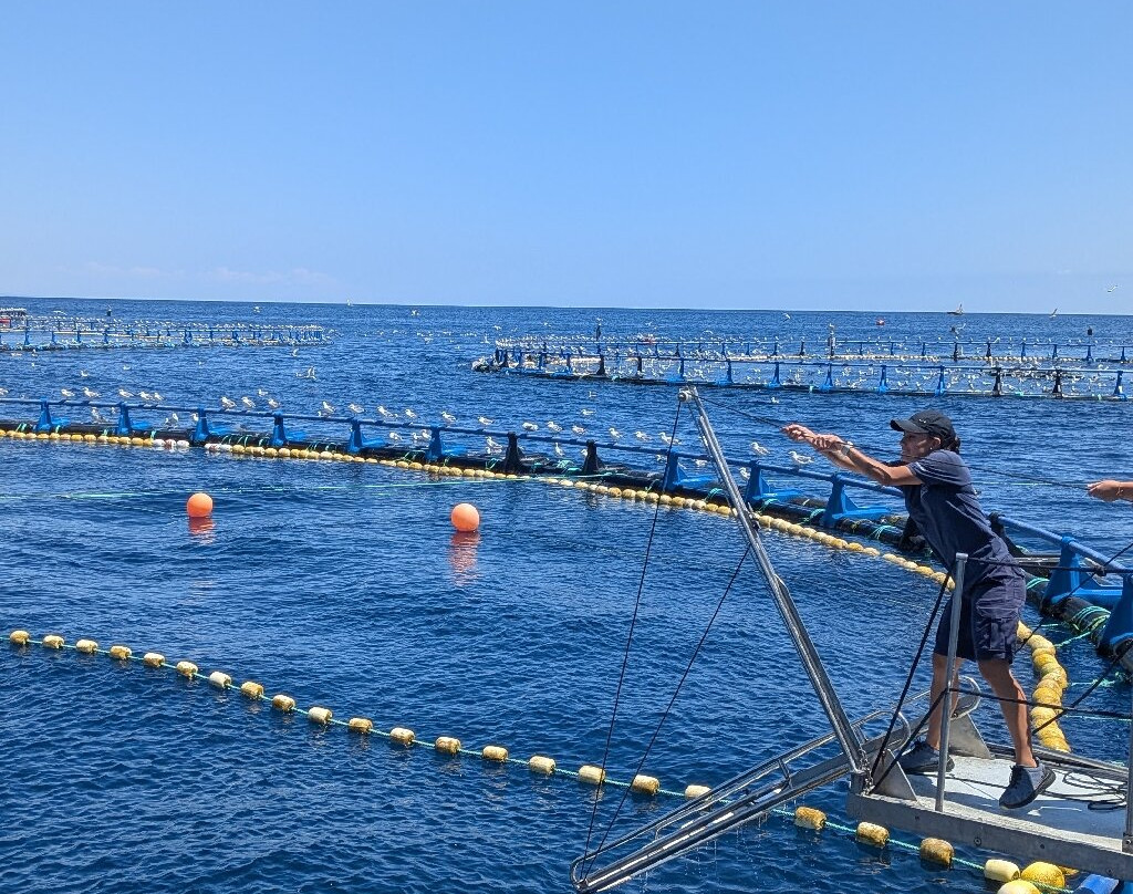 Tuna Tour-L'Ametlla de Mar必去景点