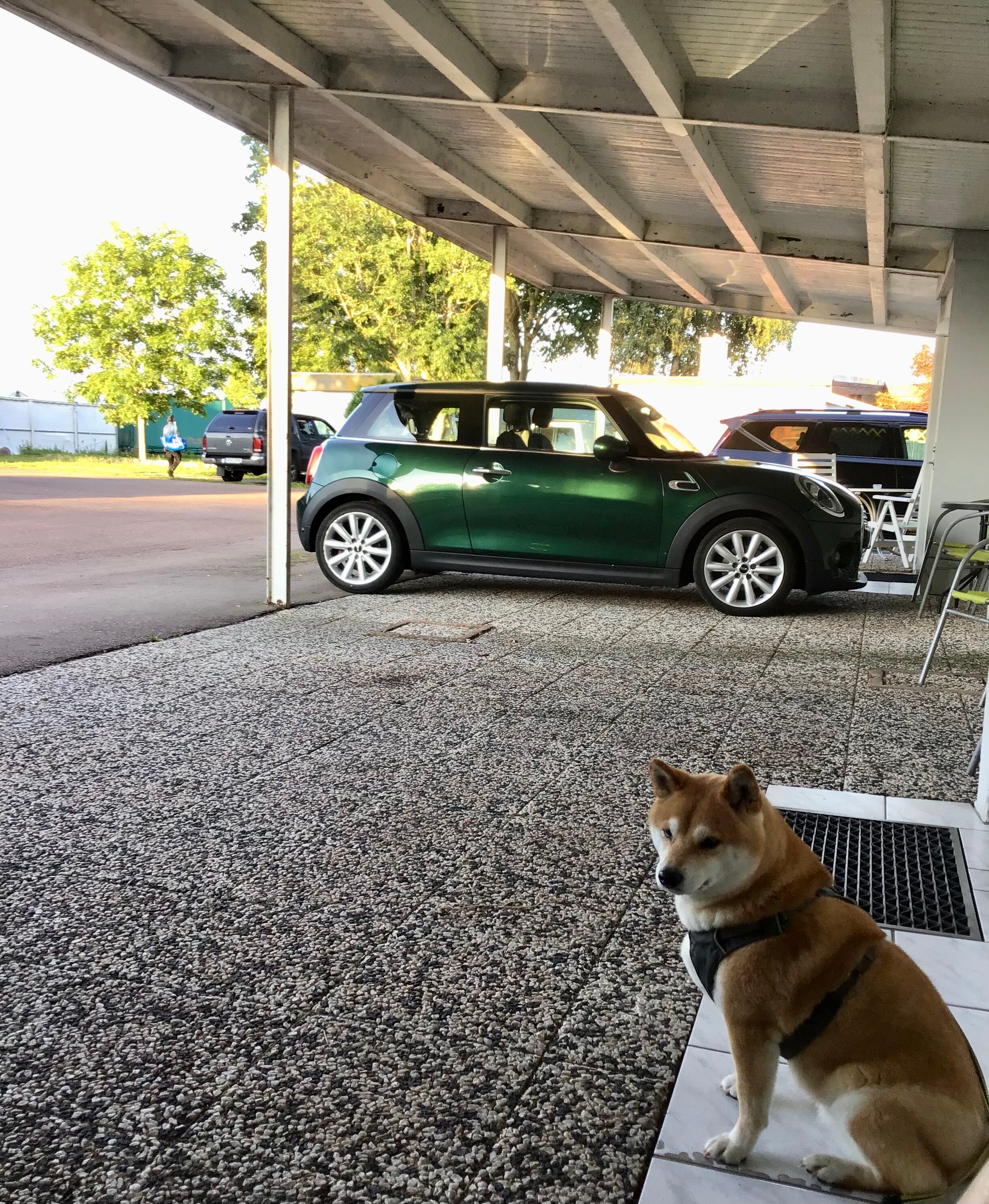 Fleninge Motel-浴室