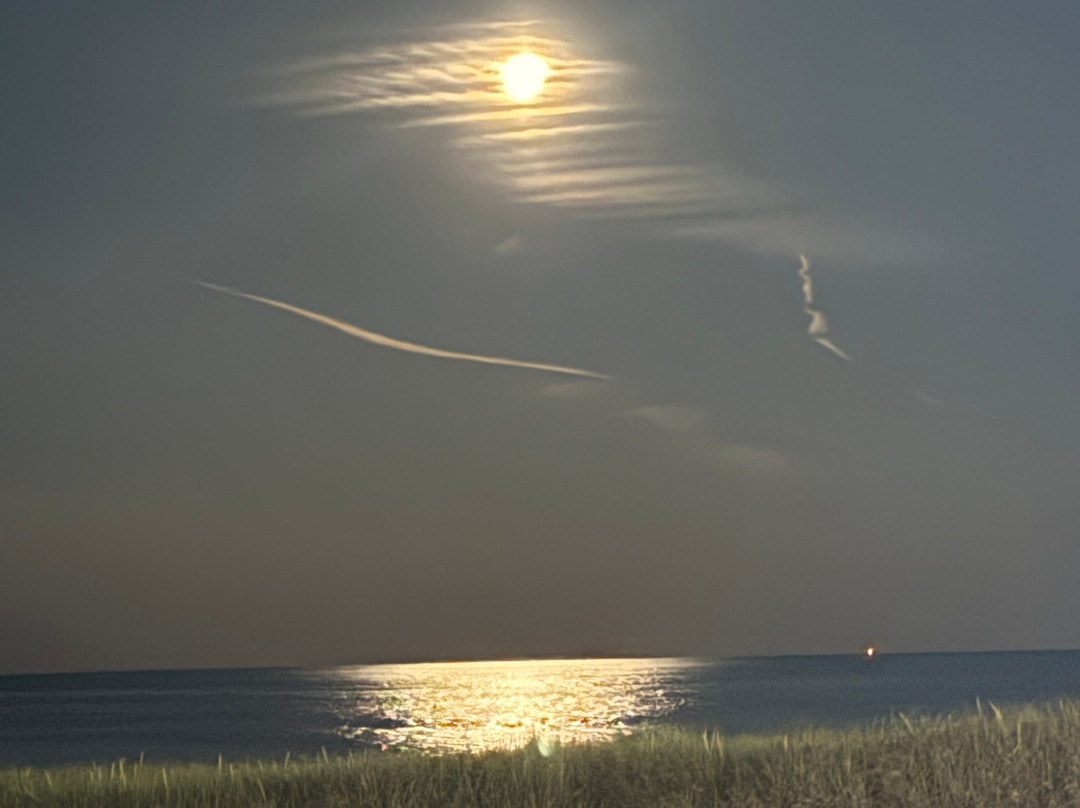 Blue Water Resort主图