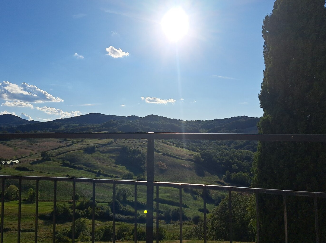 Contignaco Castle-萨尔索马焦雷泰尔梅必去景点