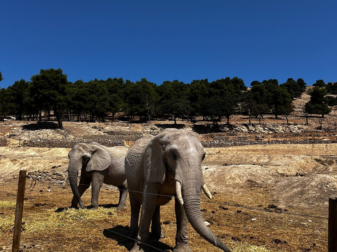 Safari Aitana-Penaguila必去景点
