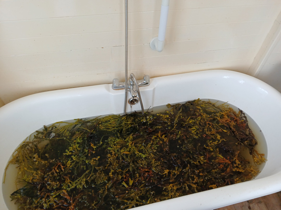 Achill Seaweed Baths-Achill Island必去景点