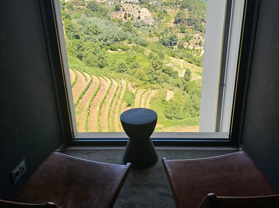 MW Douro Wine & Spa主图