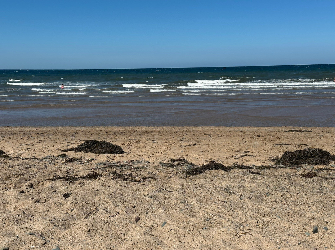 Melmerby Beach Provincial Park-Little Harbour必去景点
