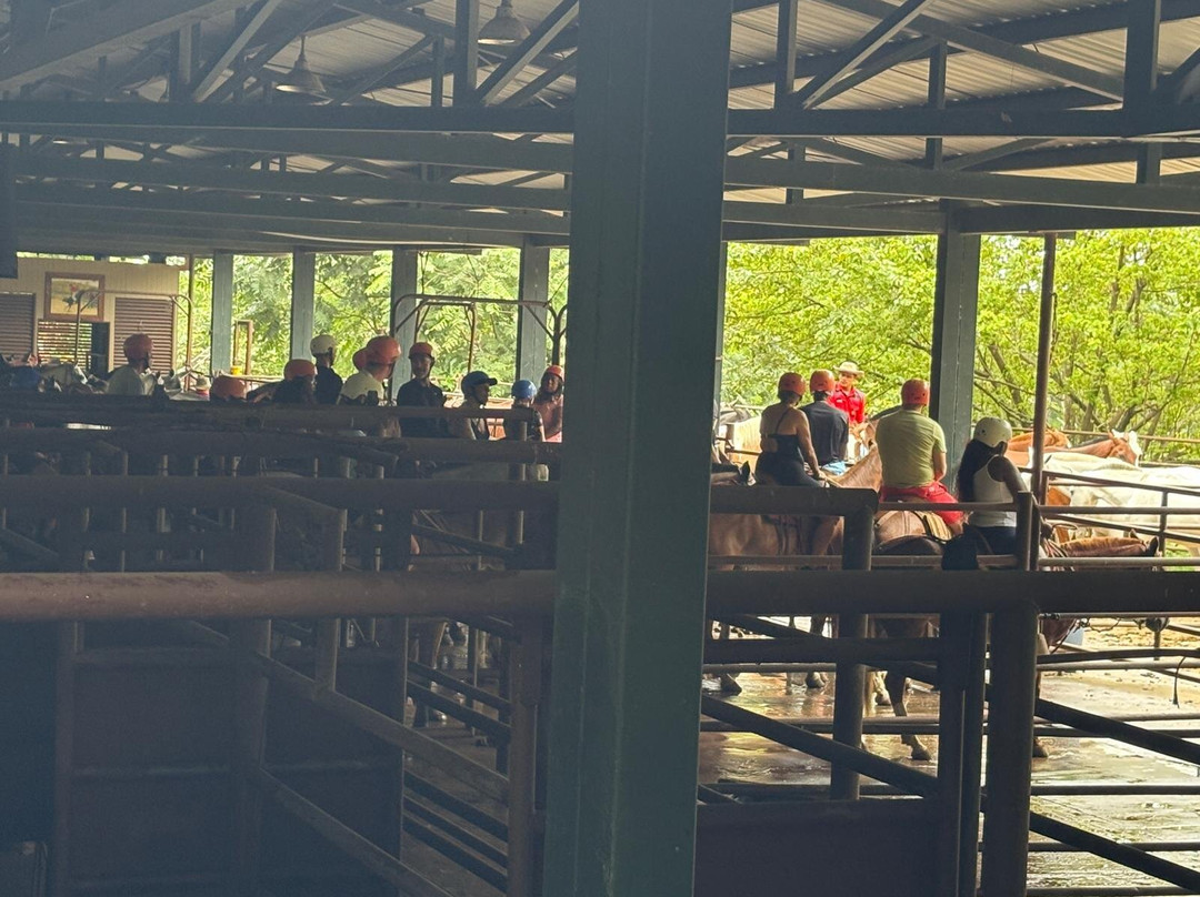 Hotel Hacienda Guachipelin主图