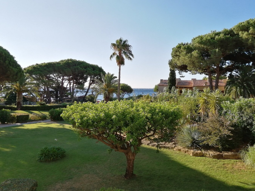 Pierre & Vacances Residence L'Anse de Pramousquier主图