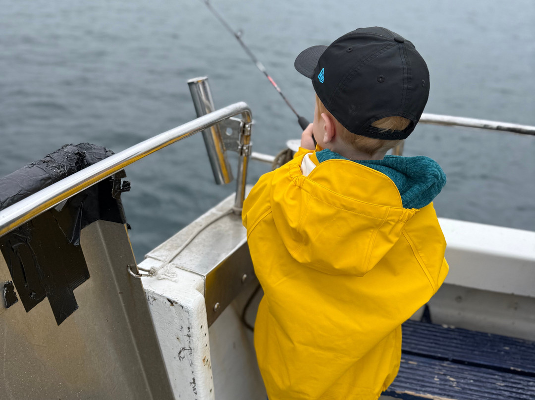 Aquila Charters-梅瓦吉西必去景点