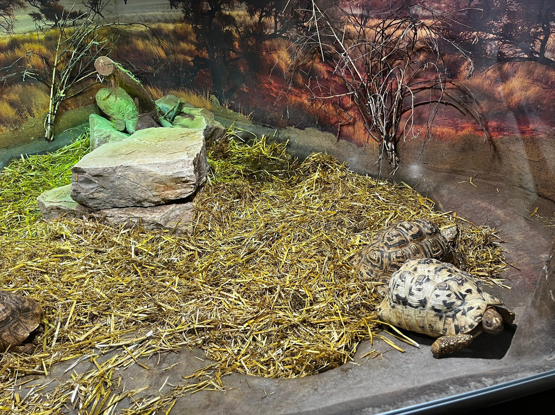 Tropicarium Park-Lido di Jesolo必去景点