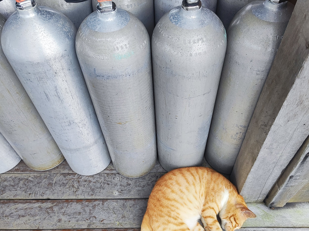 仙本那马布岛潜水度假村主图