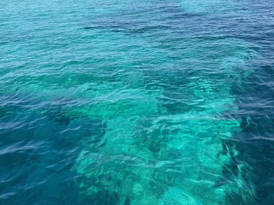 PosidoniaCharterAsinara-斯廷蒂诺必去景点