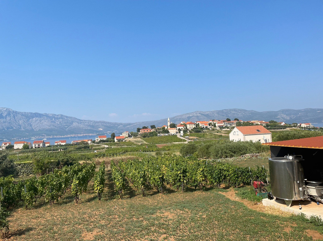 Popic Winery Lumbarda-伦巴达必去景点