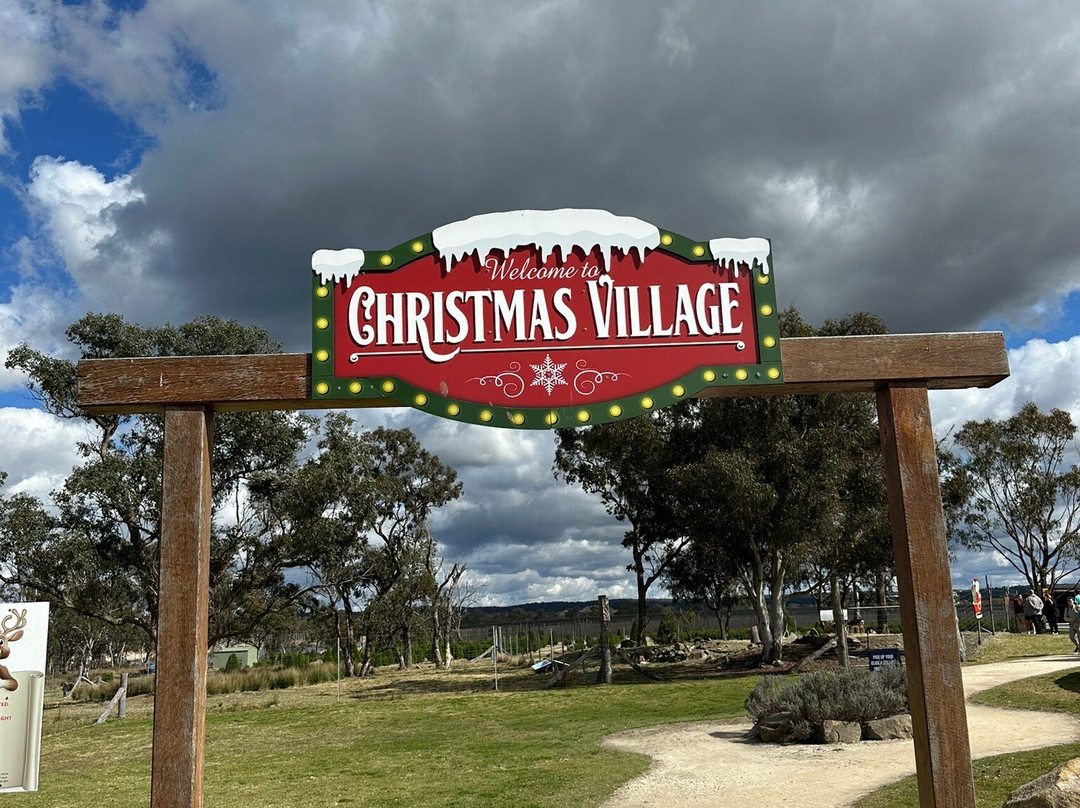 Granite Belt Christmas Farm-史丹霍普必去景点